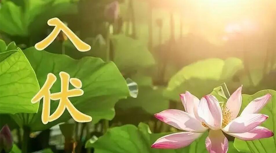 入伏天來襲！金環(huán)電器提醒大家要注意的事項