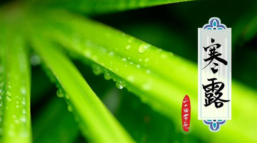 寒露時(shí)節(jié)到！金環(huán)電器提醒這些干衣事項(xiàng)要注意