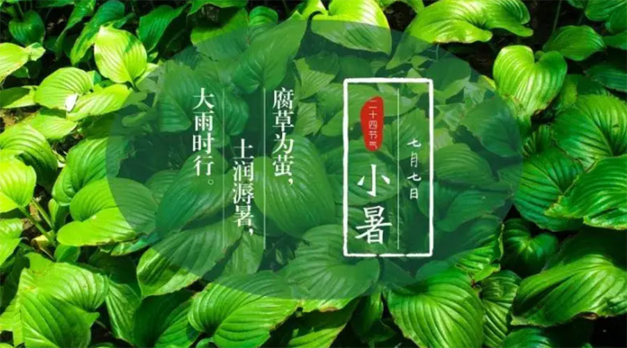 小暑時節(jié)來到！金環(huán)電器提醒大家要注意的事項