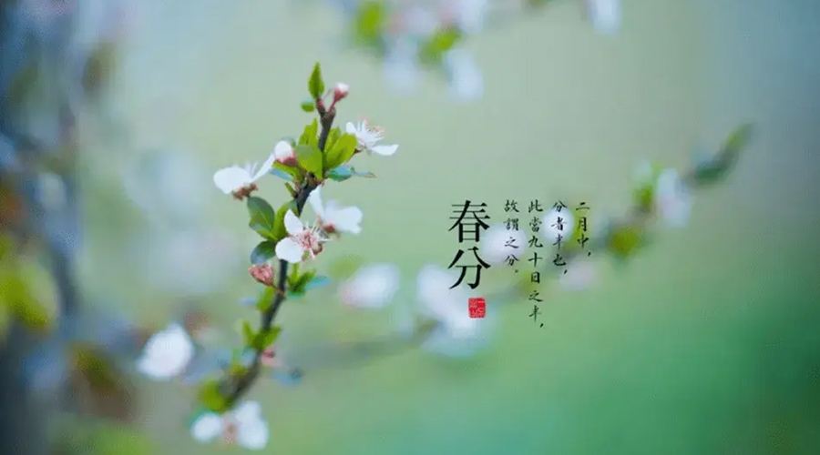 春分雨水多易生菌！金環(huán)電器提醒你衣物要注意處理