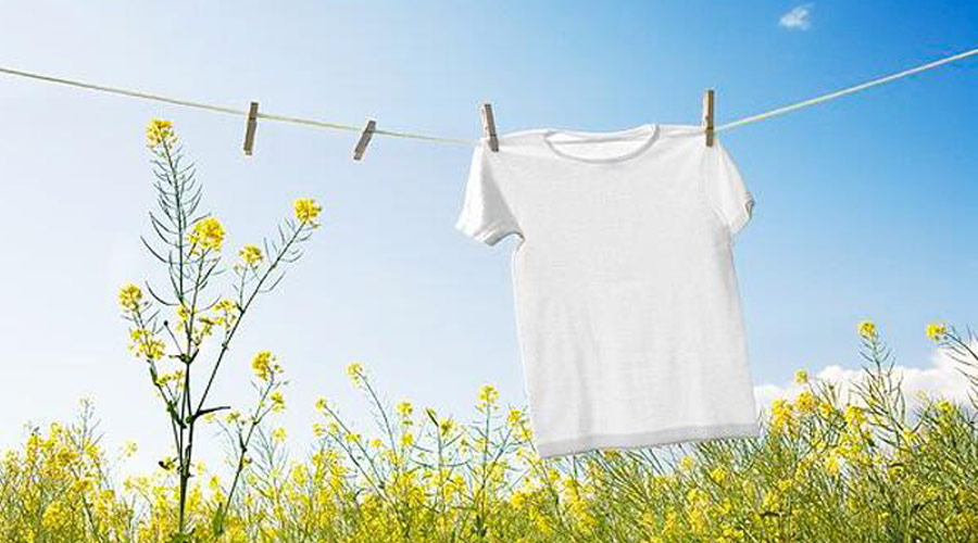 滾筒干衣機(jī)紫外線燈除菌對(duì)比太陽光除菌哪個(gè)效果更好