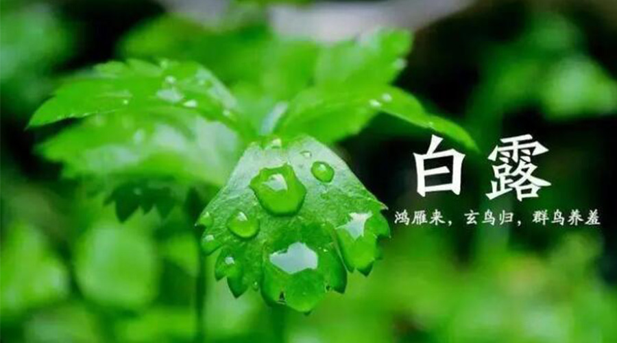 白露時節(jié)！金環(huán)電器提醒大家要注意的事項