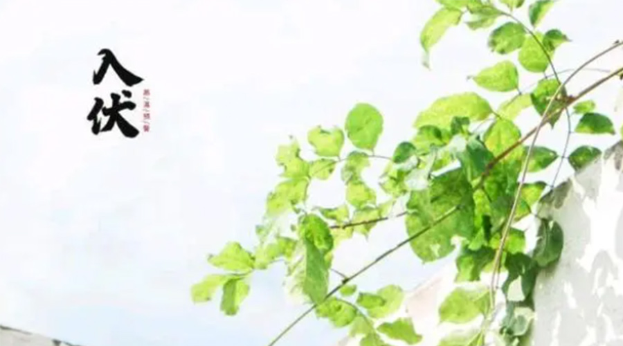 初伏時節(jié)！金環(huán)電器提醒大家要注意的事項(xiàng)