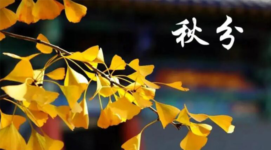 秋分時節(jié)！金環(huán)電器提醒大家要注意的事項